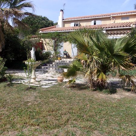 Mas Des Pins Bed & Breakfast Saint-Cyprien  Exterior photo