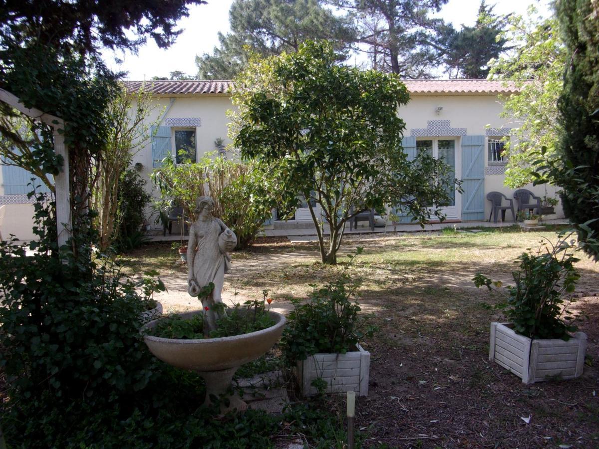 Mas Des Pins Bed & Breakfast Saint-Cyprien  Exterior photo